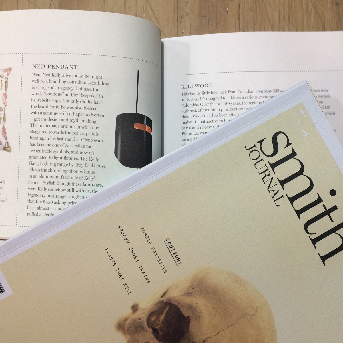 Smith Journal Troy Backhouse publication of Ned Pendant light